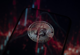 wp header logo1770156015227677766