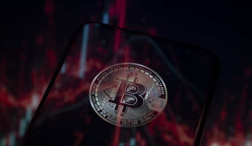 wp header logo1770156015227677766