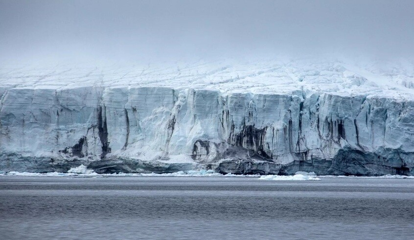 wp header logo1770166819228061245