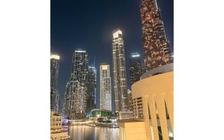 wp header logo1770166823145084121