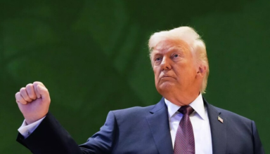 wp header logo17701668841793664247