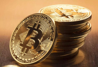 wp header logo17701776071718293703