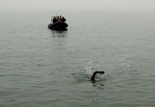 wp header logo17701776231575688451