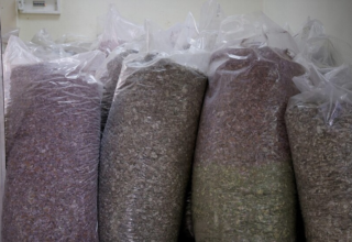 wp header logo17701812132066959783