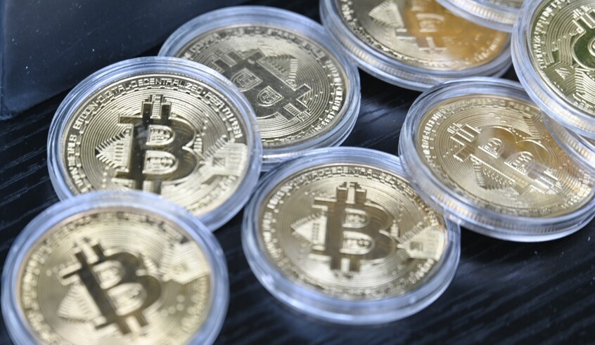 wp header logo1770202813608769820