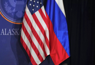 wp header logo17702064191329068804