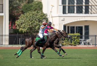 wp header logo1770210008372611208