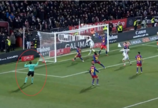 wp header logo1770210030536805254