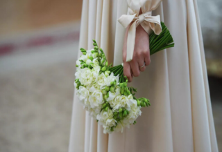 wp header logo17702172261004134117