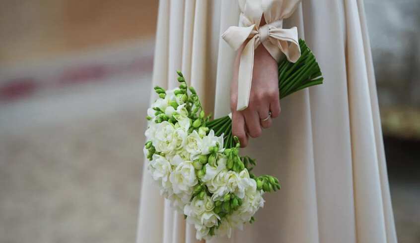 wp header logo17702172261004134117