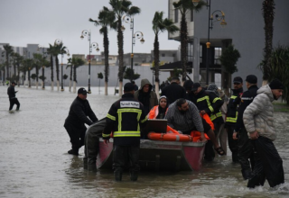 wp header logo17702568682062911597