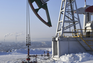 wp header logo1770274822726305876