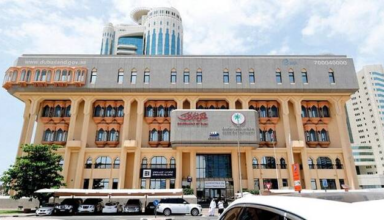 wp header logo17702820101540416909