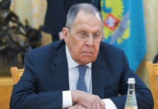 wp header logo1770285609841730726