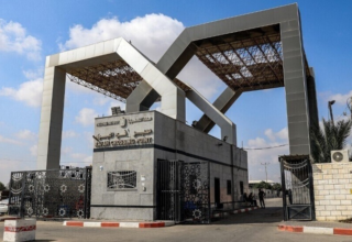 wp header logo17702856541142512251