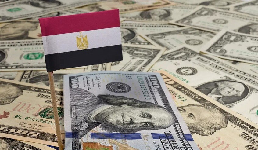 wp header logo1770300032361351775