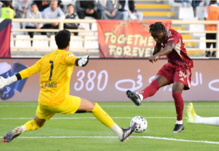 wp header logo17703072091212717703