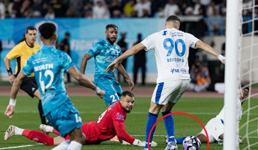 wp header logo1770318025244014585