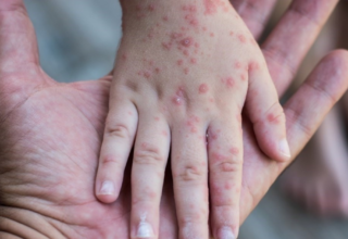 wp header logo1770328808103923450