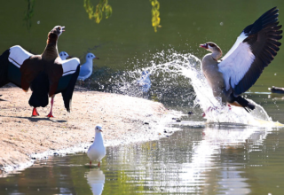 wp header logo1770339612350402824