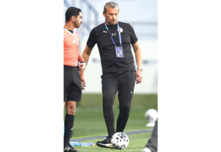 wp header logo1770339620569174592