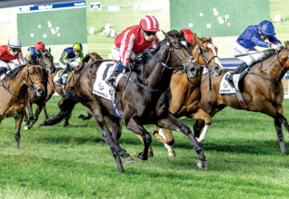 wp header logo1770339652930045930