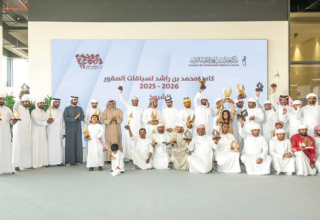 wp header logo177033965911072544