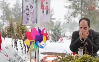 wp header logo17703432221749187072