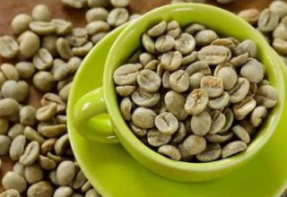 wp header logo177034681273417826