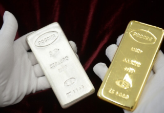 wp header logo17703612111233523624