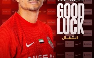 wp header logo17703648091719778242