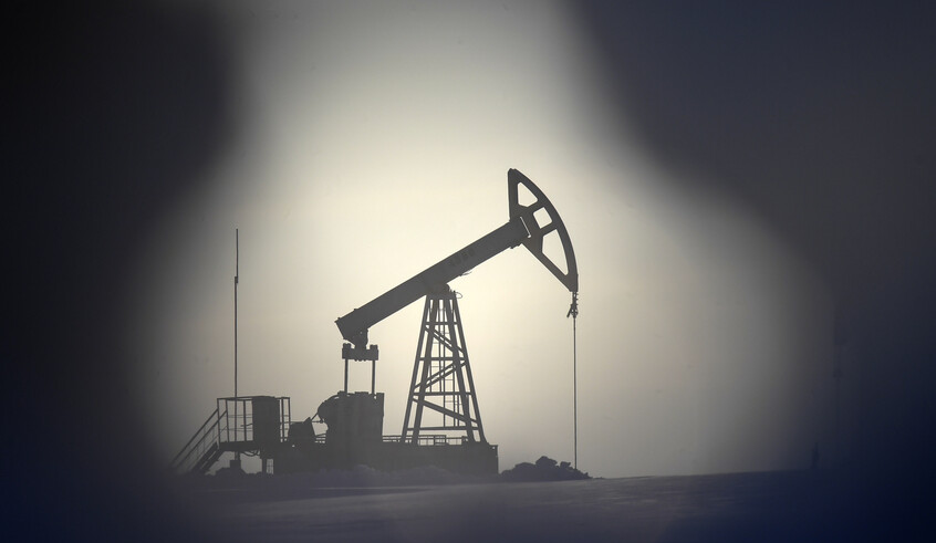 wp header logo17703648121188712584