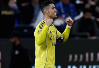 wp header logo17703648181252431160