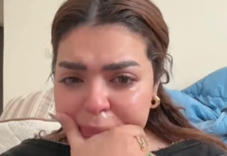 wp header logo17703684121343164082