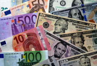 wp header logo17703720351225603937