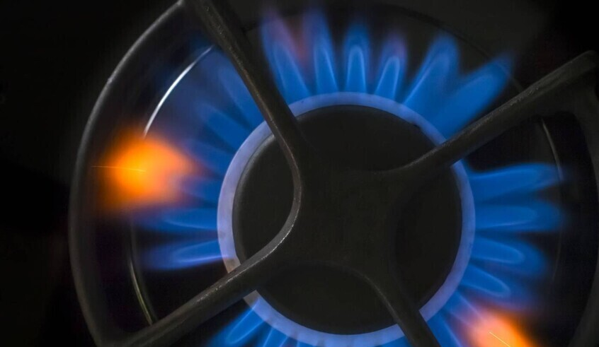 wp header logo17703792241314155342