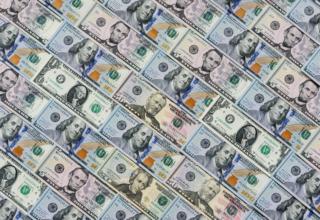 wp header logo17703792321884069224