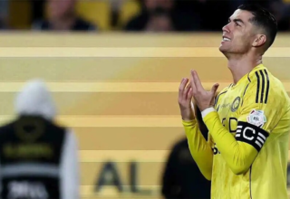 wp header logo17703828141282813063