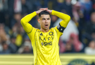 wp header logo17703972112083384558