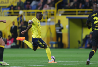 wp header logo17704080102090250179