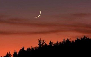 wp header logo1770411625867837037