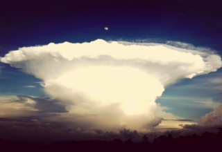 wp header logo17704152271439331661