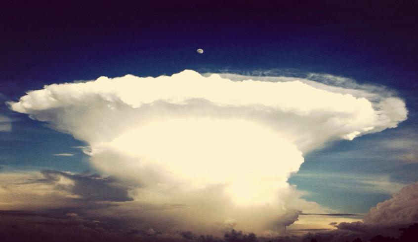 wp header logo17704152271439331661