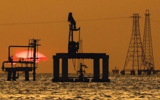 wp header logo17704260092081848594