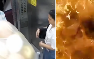 wp header logo1770433226262362751