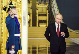 wp header logo17704512122087713909