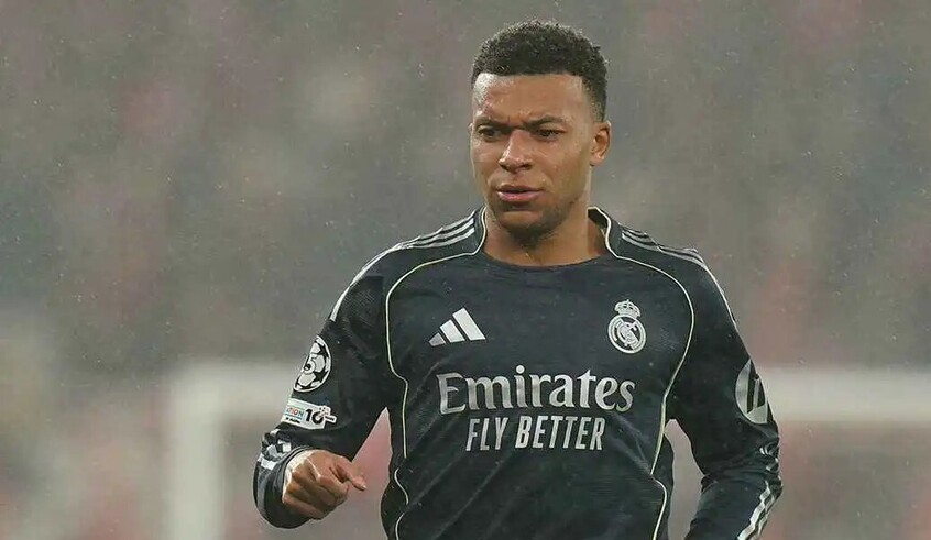 wp header logo1770454809773543400