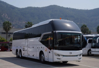 wp header logo17704692121100175274