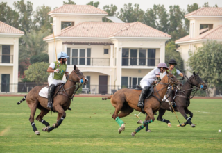 wp header logo17704728131003581733