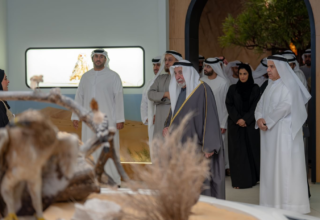 wp header logo17704872091803097651